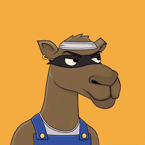 Camelsnftio