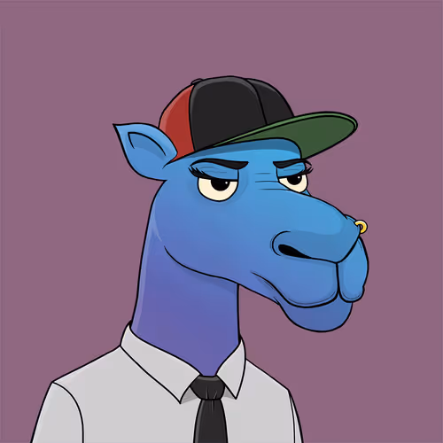 Camelsnftio