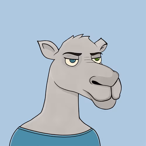 Camelsnftio