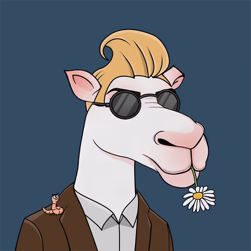 Camelsnftio