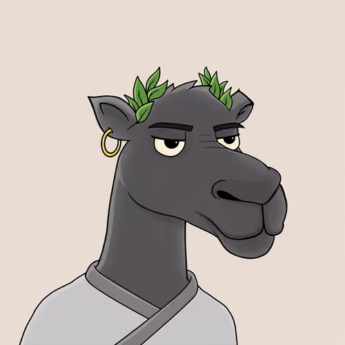 Camelsnftio
