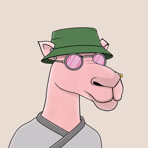 Camelsnftio
