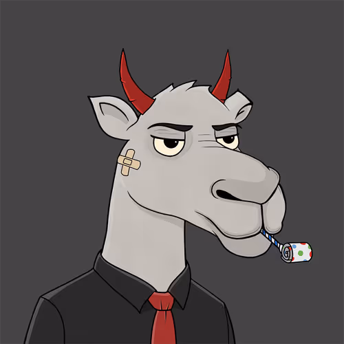 Camelsnftio