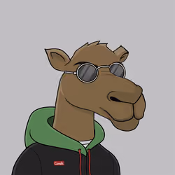 Camel #3752