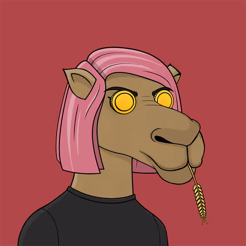 Camelsnftio