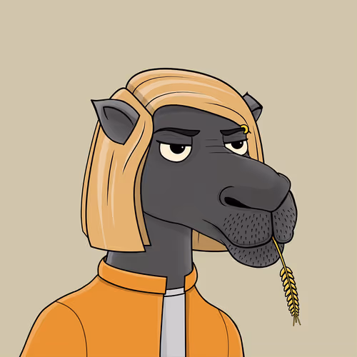 Camelsnftio
