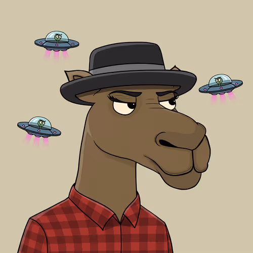 Camelsnftio
