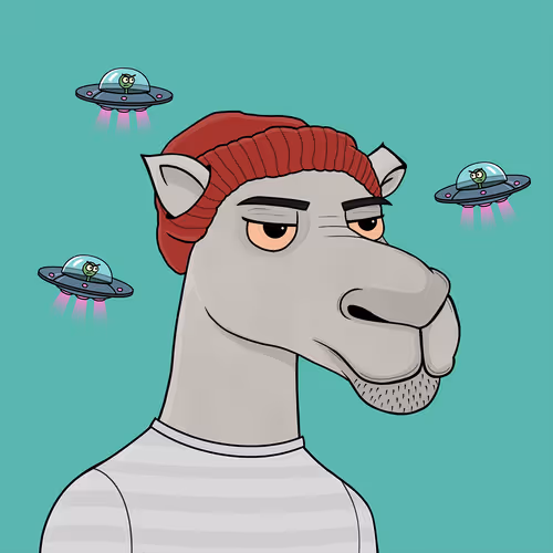 Camelsnftio