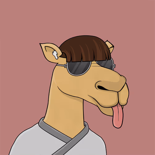 Camelsnftio
