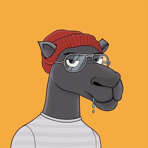 Camelsnftio