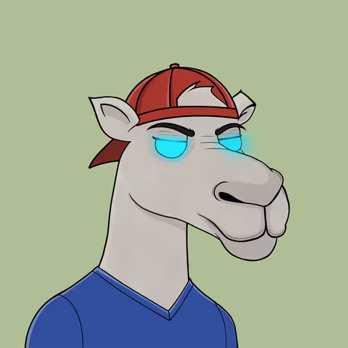 Camelsnftio