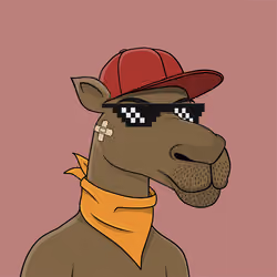 Camel #5686