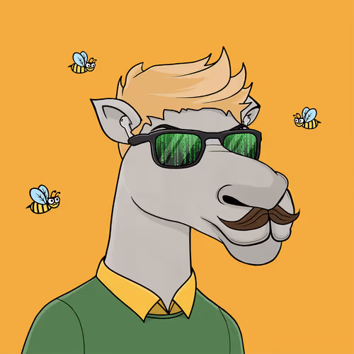 Camelsnftio