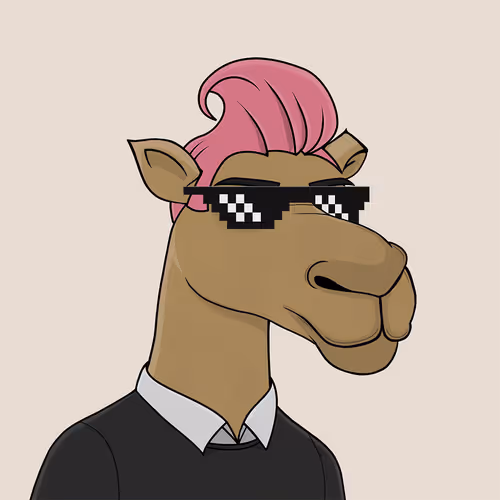 Camelsnftio