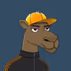 Camel #2116