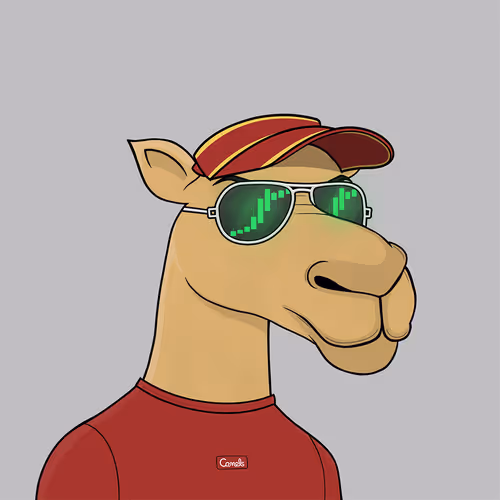 Camel #4916