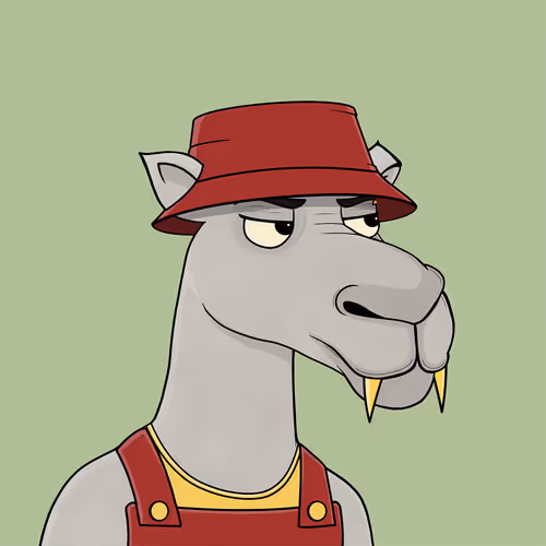 Camelsnftio