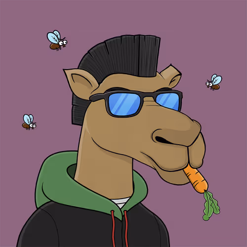 Camelsnftio