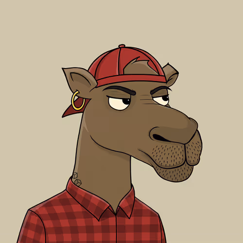 Camelsnftio