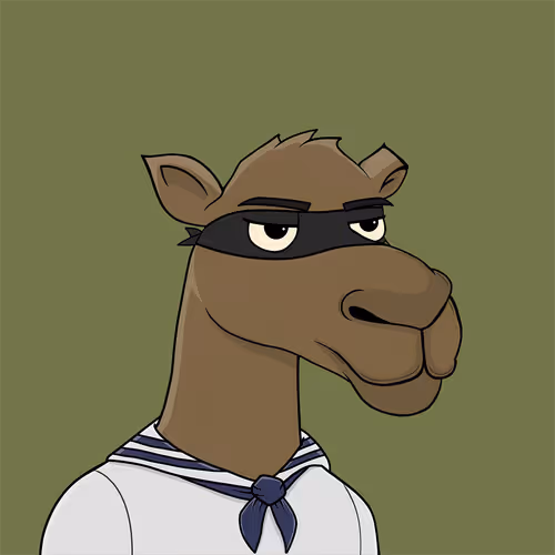 Camelsnftio