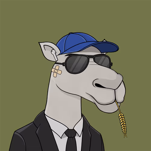 Camelsnftio