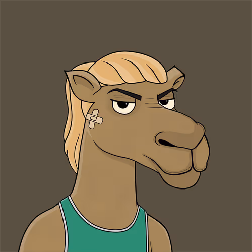 Camelsnftio