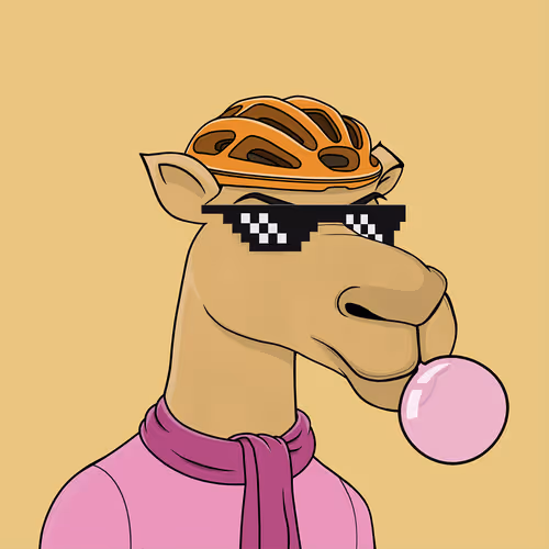 Camelsnftio
