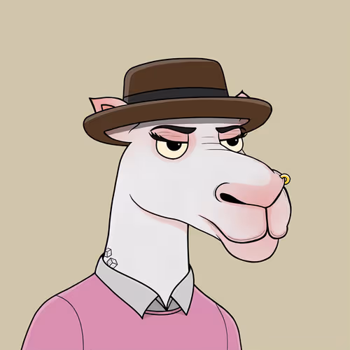 Camelsnftio