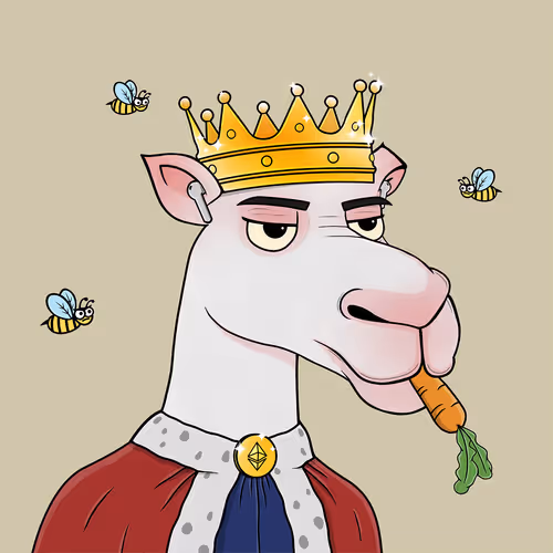 Camelsnftio