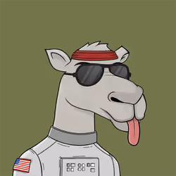 Camel #5362