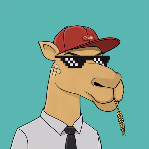 Camelsnftio