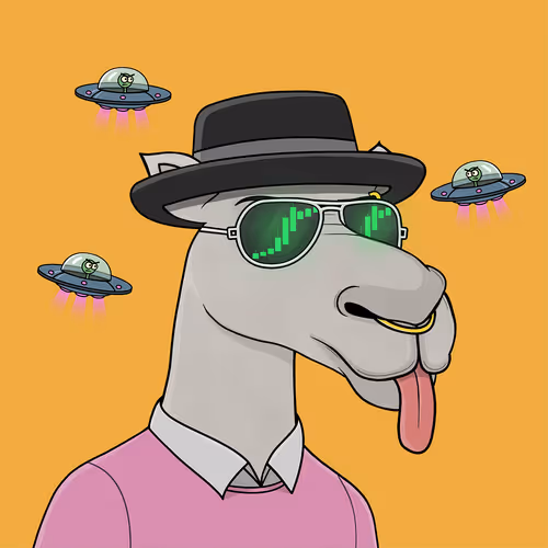 Camel #2148