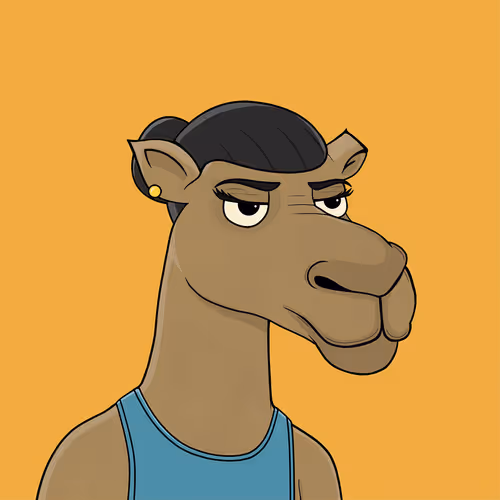 Camelsnftio