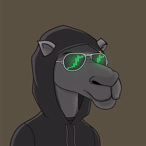 Camelsnftio