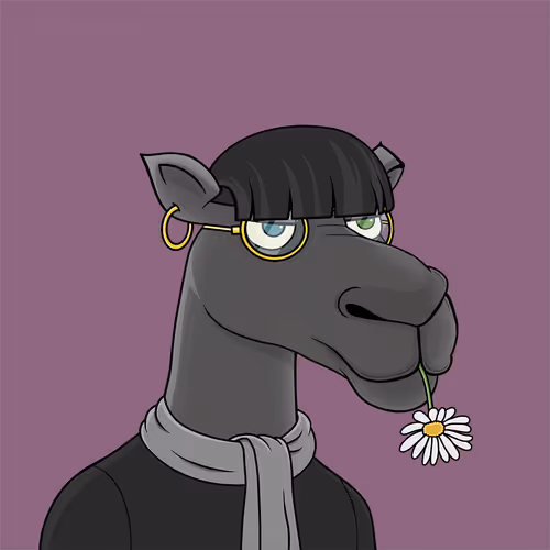 Camelsnftio