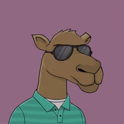 Camel #2008
