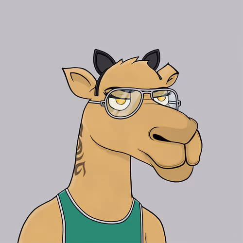 Camelsnftio