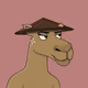 Camel #7879
