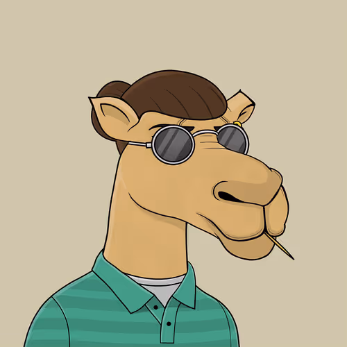 Camelsnftio