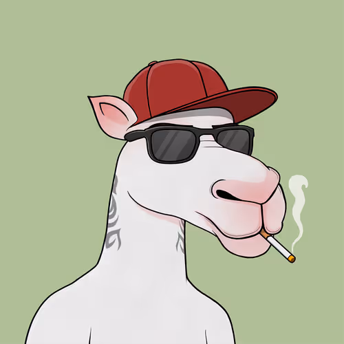 Camelsnftio