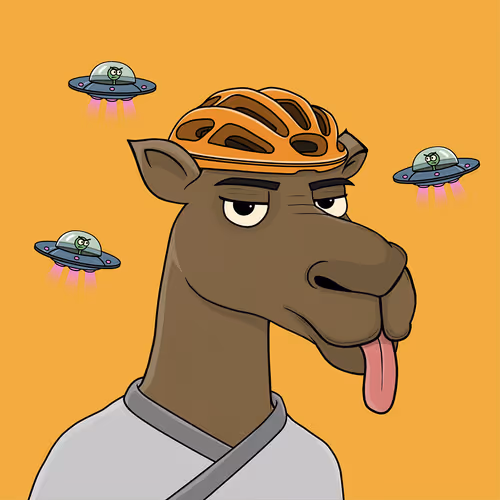 Camelsnftio