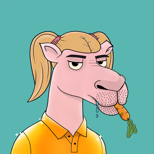 Camelsnftio