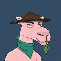 Camel #2330