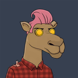 Camel #6479