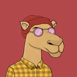 Camel #3281
