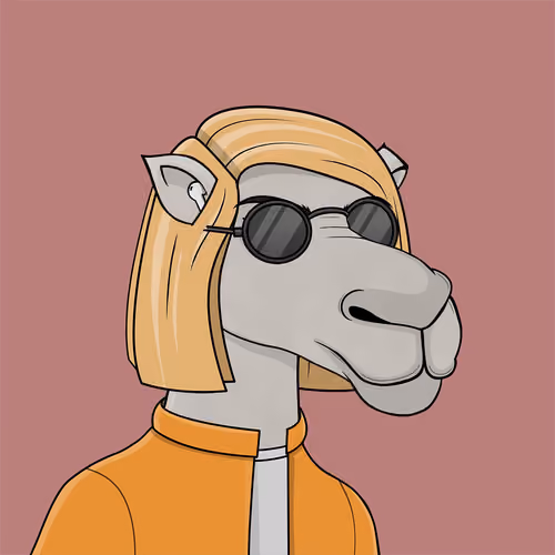 Camel #162