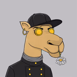 Camel #1443