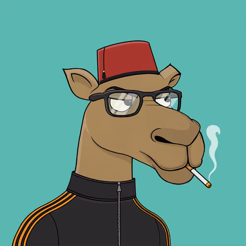 Camelsnftio