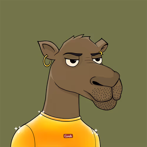 Camelsnftio
