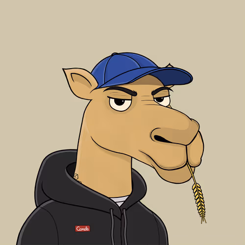 Camelsnftio